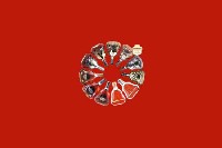 平舆回收红酒